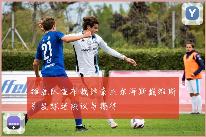 雄鹿队宣布裁掉奈杰尔海斯戴维斯引发球迷热议与期待