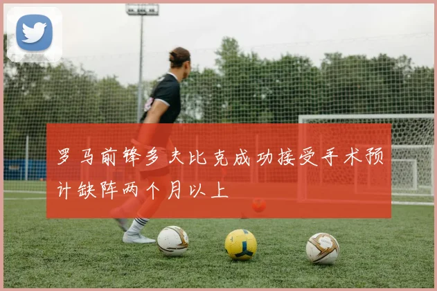 罗马前锋多夫比克成功接受手术预计缺阵两个月以上
